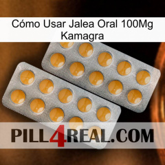 Cómo Usar Jalea Oral 100Mg Kamagra levitra2